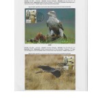 2083051565 COMPETITION PHILATÉLIE
