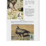 819420894 COMPETITION PHILATÉLIE