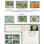 2883953527 COMPETITION PHILATÉLIE
