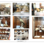 2090513334 Visites Organisées par l'APNR